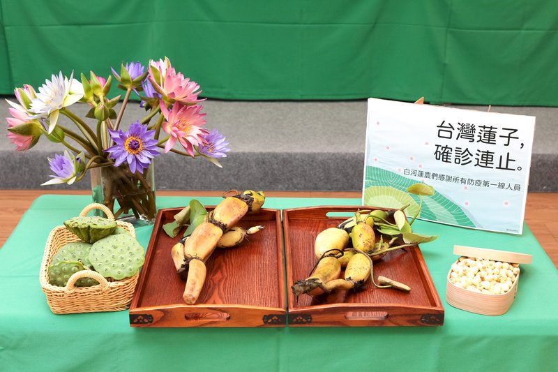 挑選優質蓮子好吃又補身