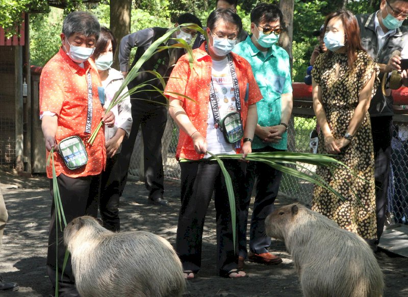 陳時中今逛台南動物園、賞蓮花  推銷防疫樂活遊