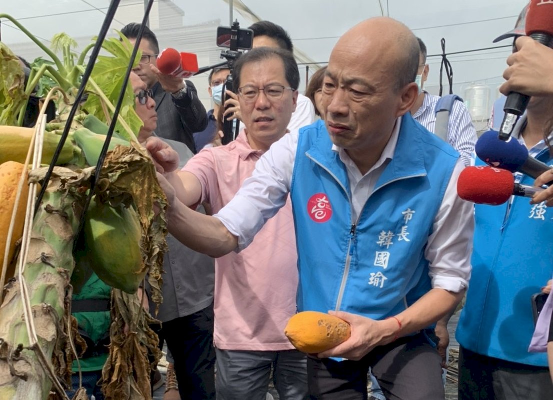 罷韓投票日 韓國瑜一早視察美濃木瓜災損