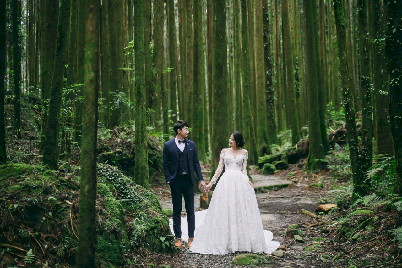 阿里山神木下婚禮、星光婚禮 即起開搶報名