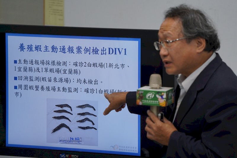 十足目虹彩病毒陽性蝦場增至16場 農委會擴大監測