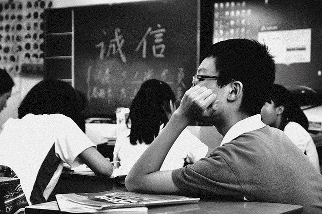 看台灣小學民主有感 來台大陸人士：共產黨官大壓死人 只培養低頭的人