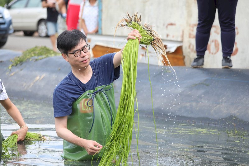 駁柯淘汰人選說  陳其邁：跌倒就再爬起