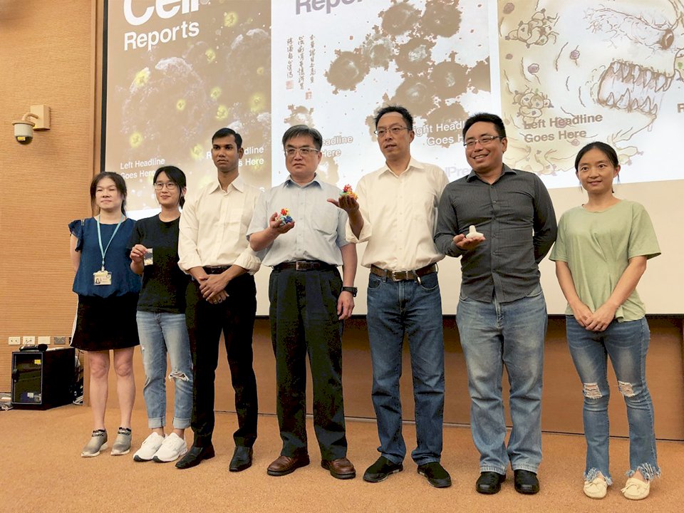 中藥材白扁豆立大功 中研院發現萃取物可阻斷新冠病毒(影音)
