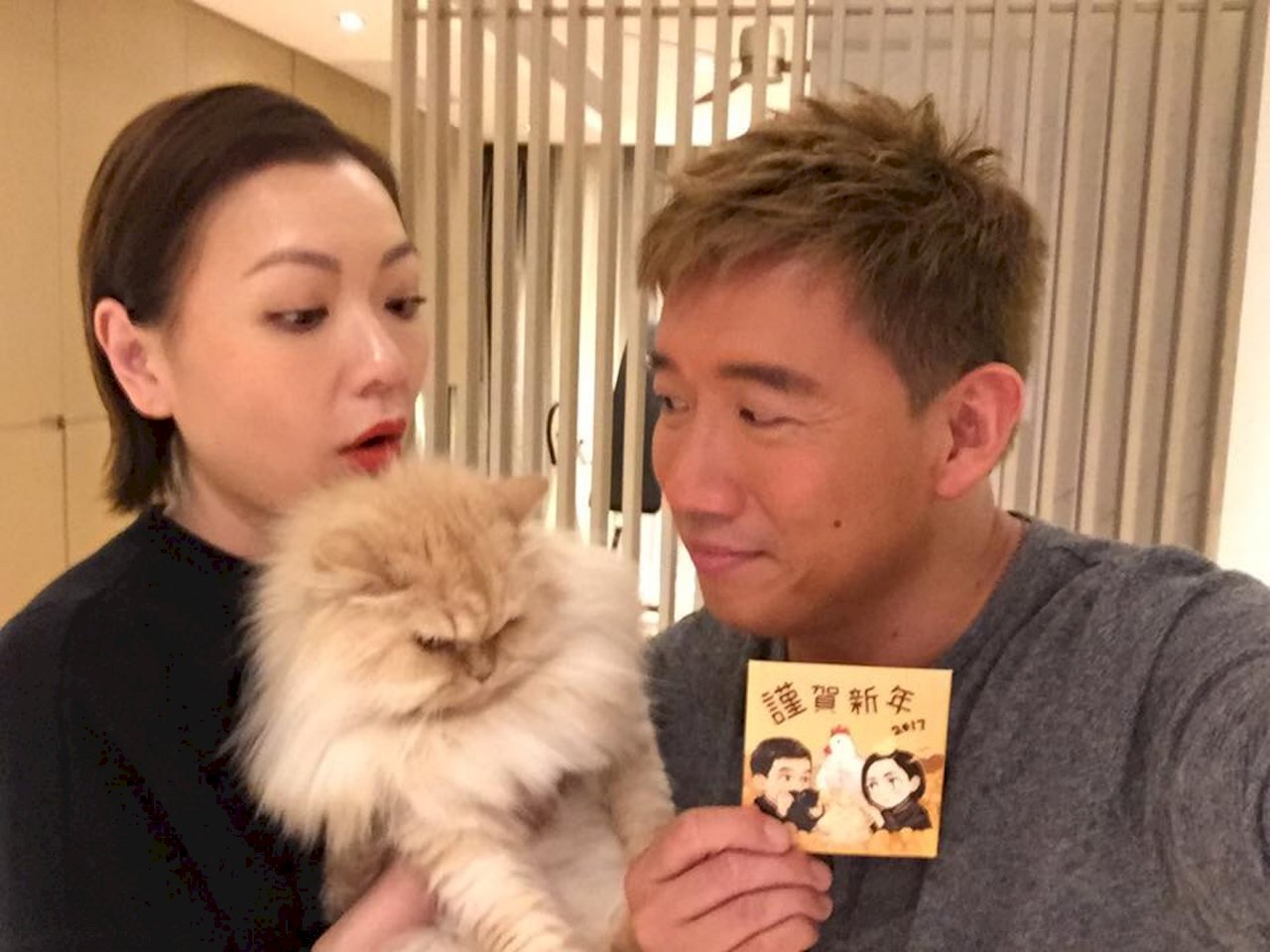 杜汶澤愛貓過世  數萬粉絲追悼