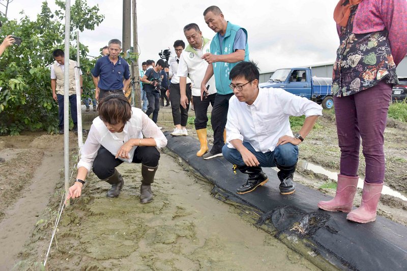 美豬美牛進口 陳其邁允爭取百億基金助農轉型