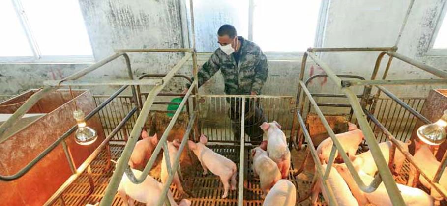 天災人禍導致缺糧 中國怕怕：一旦國際糧食斷鏈將大難臨頭