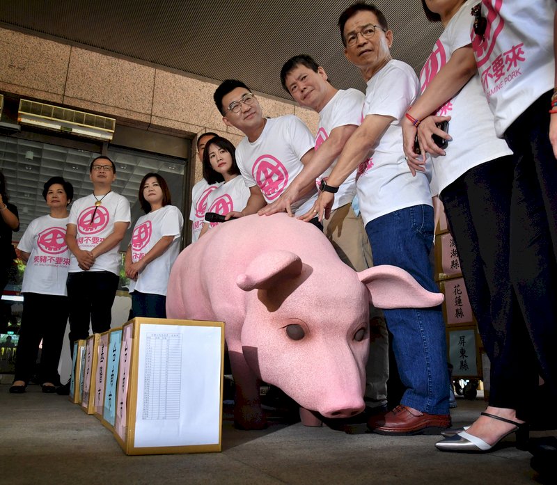 食安公投第一階段連署達標 民進黨批藍營企圖重製公投亂象