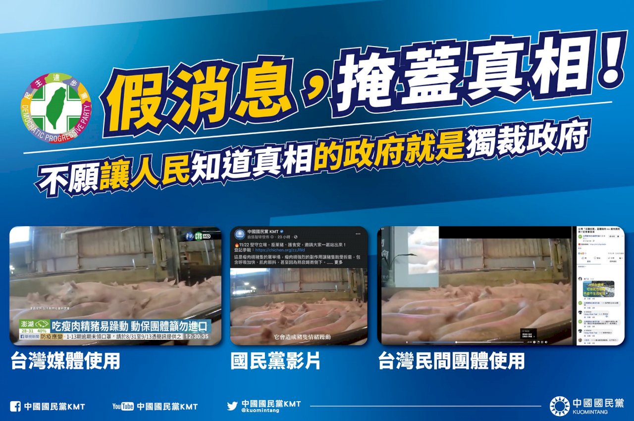 豬隻影片與萊劑關聯 國民黨：事前均求證詳查
