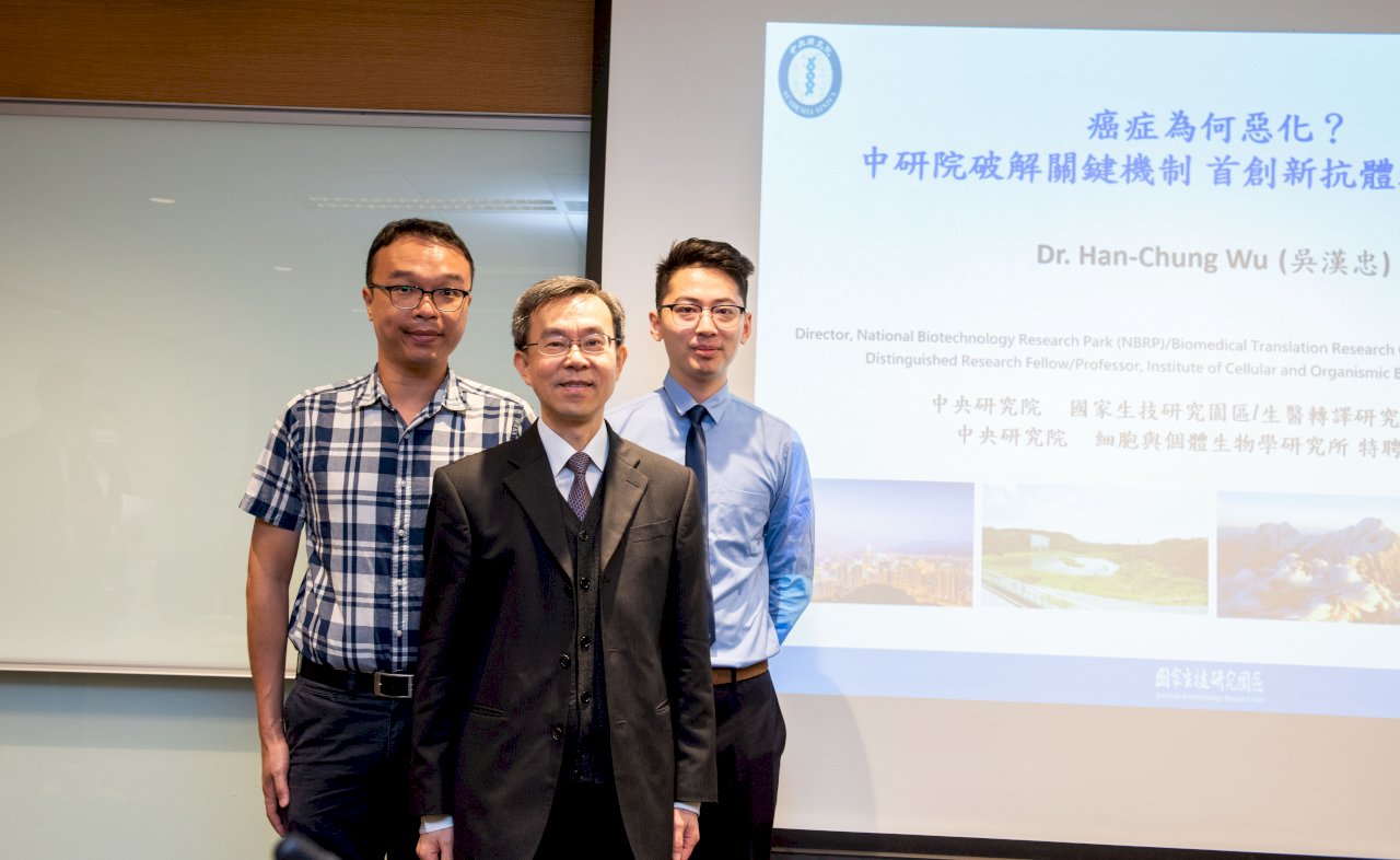 癌症為何惡化？中研院破解關鍵機制 首創新抗體助免疫治療