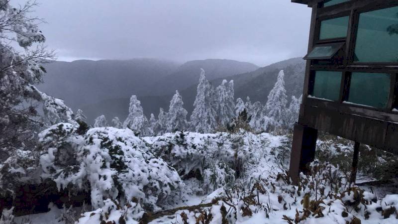 宛如置身國外！太平山下冰霰，雪白美景遊客直呼感動