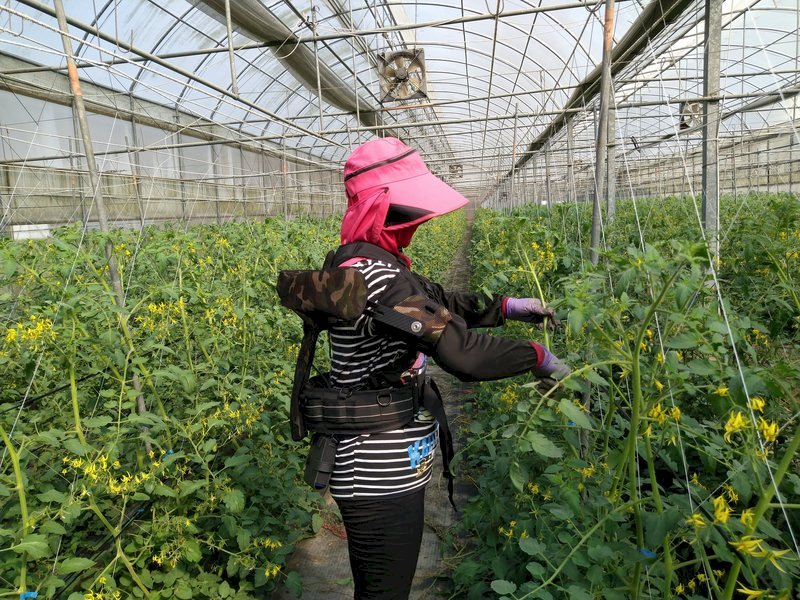 勞動部拍板 農業移工增至6千名