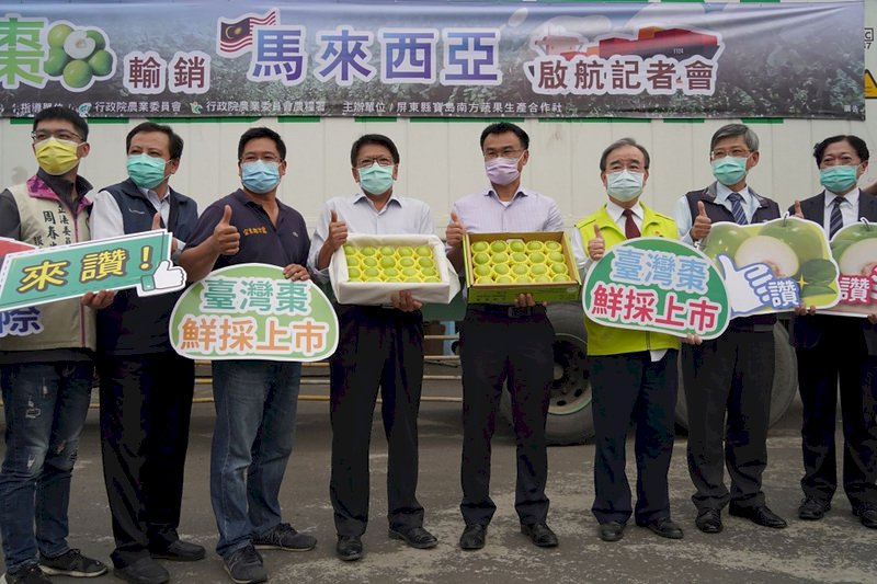 突破疫情困境  屏東蜜棗外銷馬來西亞