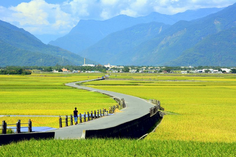 春節瘋台東！縣府推「東漂」旅遊懶人包
