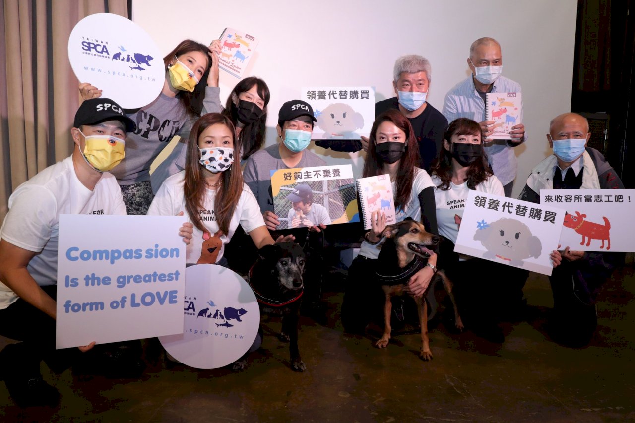 賴清德赴動物收容所當一日志工 籲領養代替購買