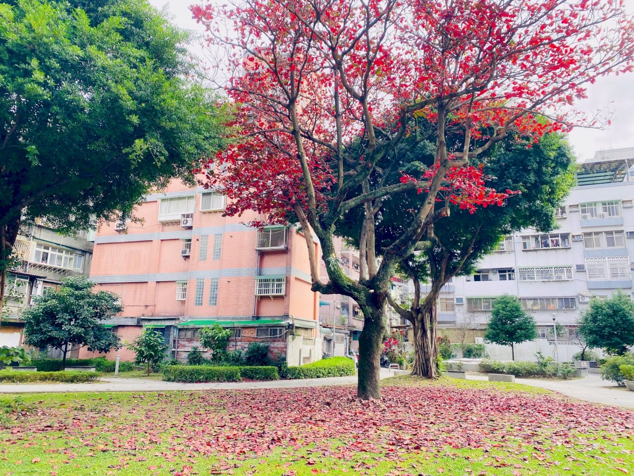 社區營造造什麼系列2—從永和國軍帳務中心的重生談共融精神