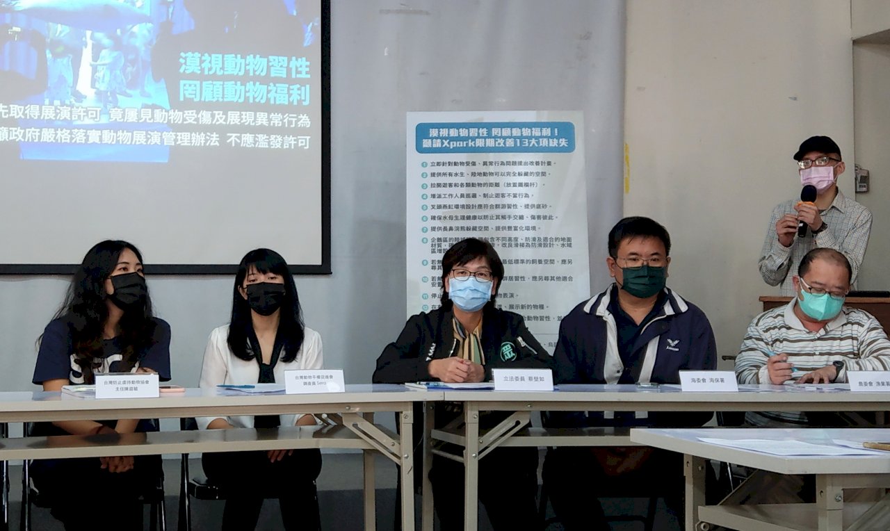 魟魚受傷遭啃食 海豹終日受干擾 動保團體籲嚴格落實展演法(影音)