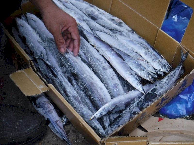 傳中國再禁台灣水產 食藥署：未獲通知