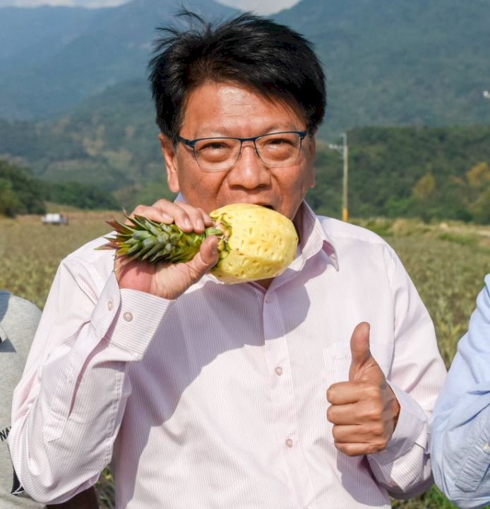屏東農場鳳梨訂單湧現  潘孟安不切整顆吃