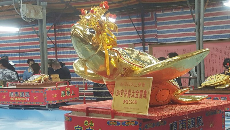 澎湖元宵乞龜大金龜主  台北徐振坤擲出最多聖杯