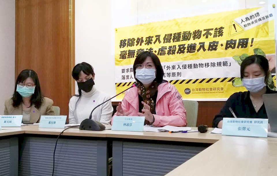 外來種動物被妖魔化 動保團體揭發虐殺移除亂象 (影音)