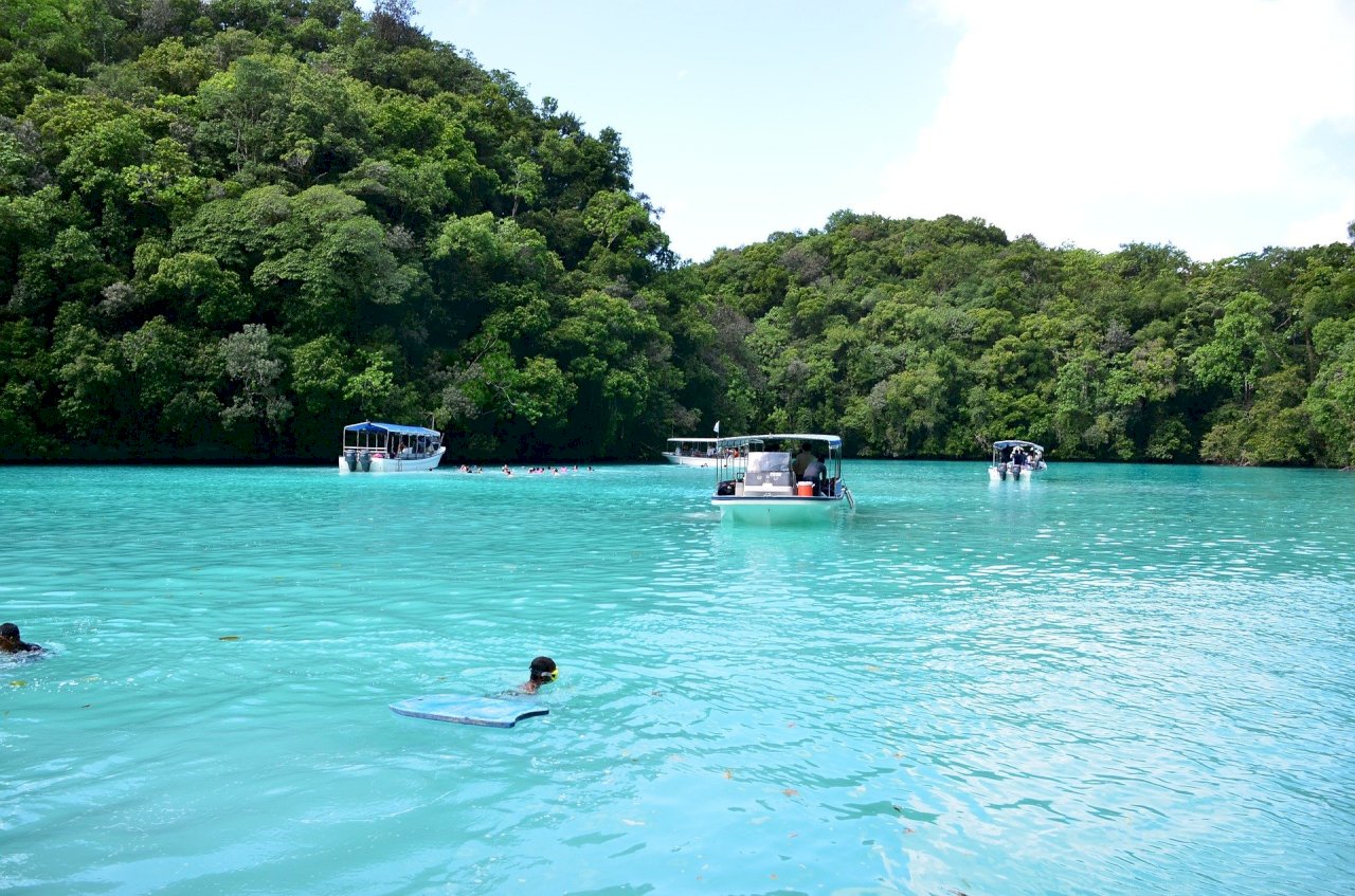 台帛旅遊泡泡登記踴躍 保費恐天價？金管會要業者速精算