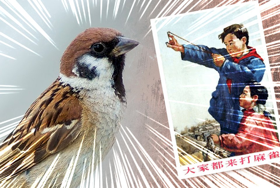 從未終結的苦難》吳祚來自述24 「文革」時代受迫害的動物們