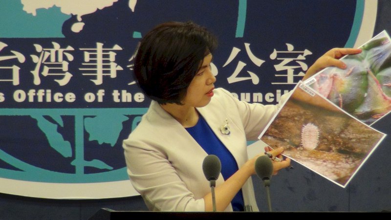 國台辦拿出放大蟲照 堅稱通報不合格鳳梨28件