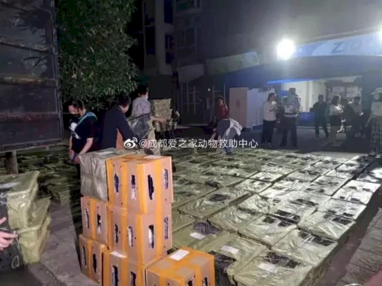 背離人性！中國業者賣「寵物盲盒」引眾怒
