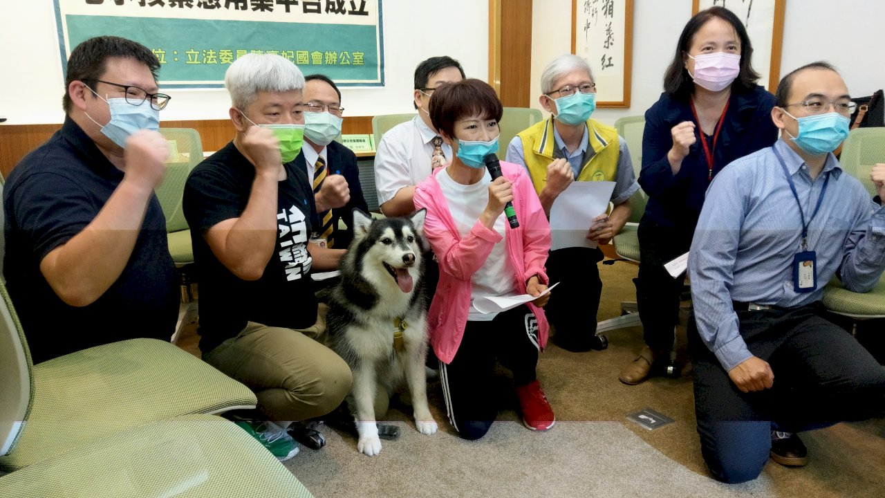 搶救毛小孩 跨部會緊急用藥平台成立