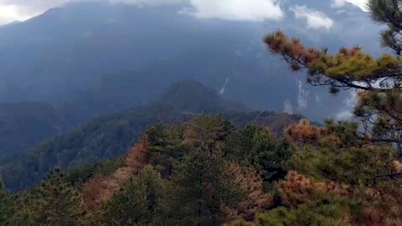 玉山森林大火終於滅了！林務局：鉅額成本絕對求償