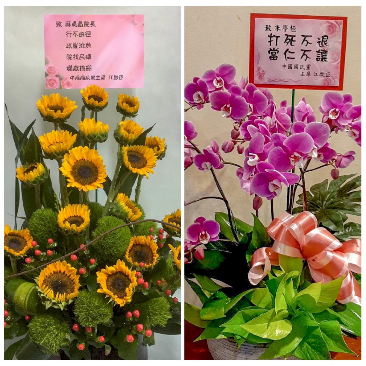 江啟臣送花籃 政院：批評應建立在事實基礎上