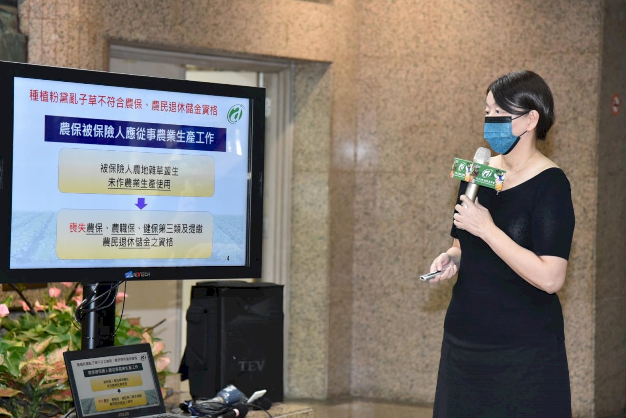 粉紅危機！這草韓國列侵害物種台業者執意種農委會開鍘