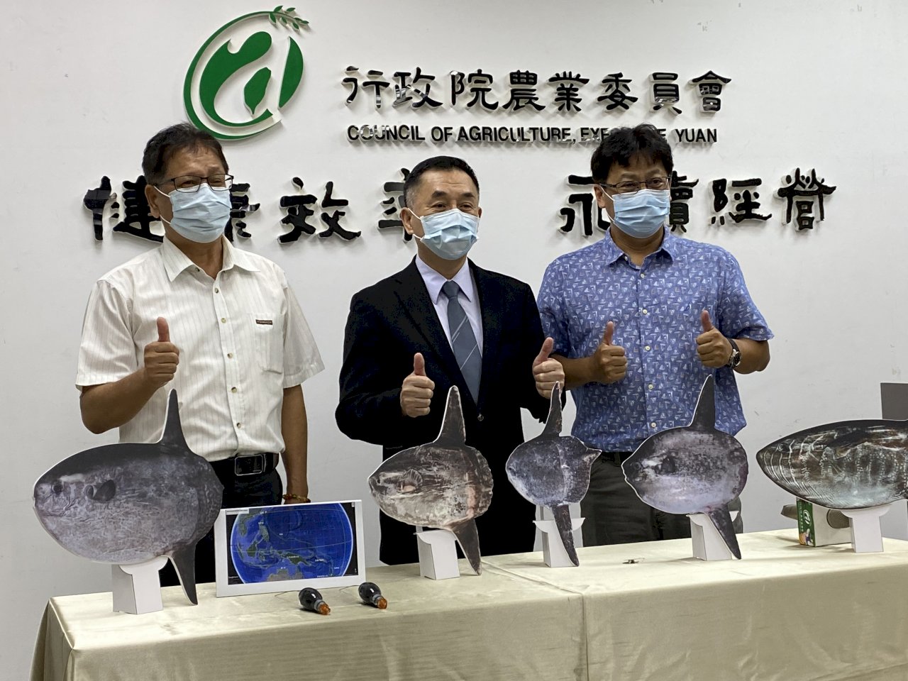 呆萌曼波魚洄游驚人發現！ 首度翻車魨跨赤道觀測台美攜手完成