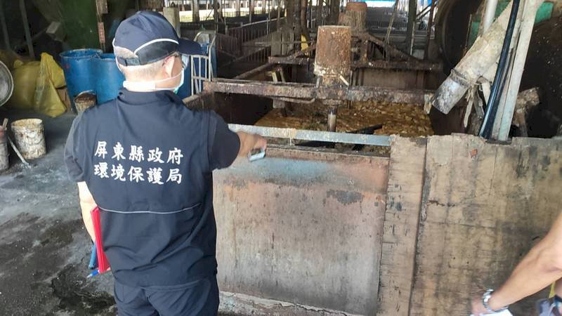 防非洲豬瘟  4養豬場違法用廚餘遭罰