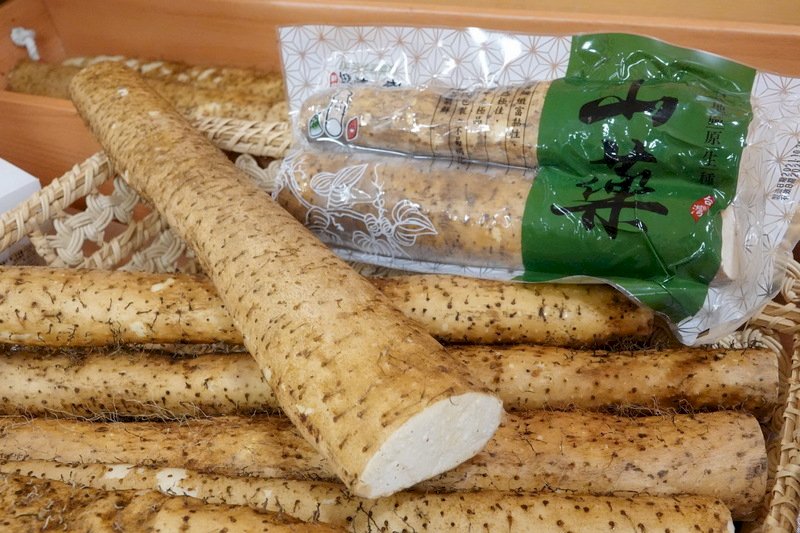 色香味俱備的養生食材