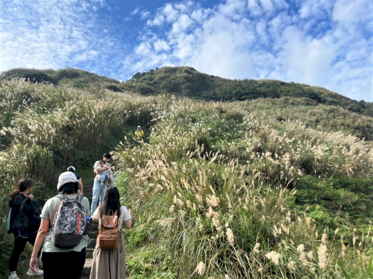 港女初攻七星山、大屯山：踩著太堅硬的石階 感受著如此柔美的景與人