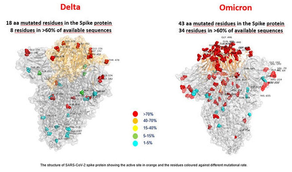 Delta變異株仍是主流 專家呼籲施打第3劑疫苗