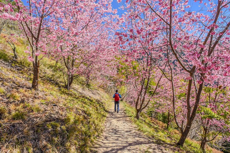 十四日營於好山好水