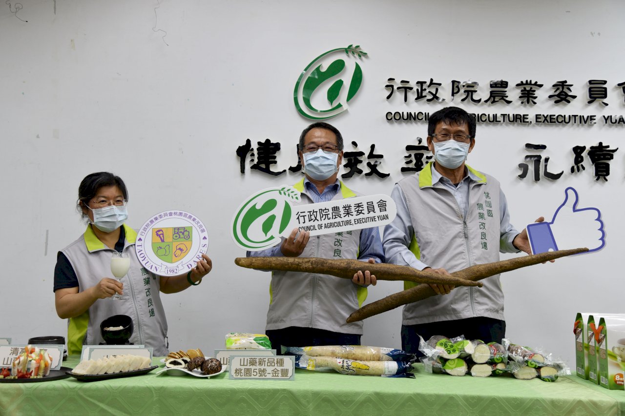 台灣第一個原生山藥雜交品種誕生！售價將高於日本進口