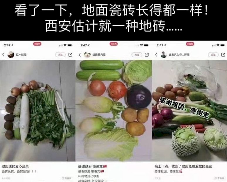 疫情下現形  港媒：中共政壇隱藏多少無能官員？