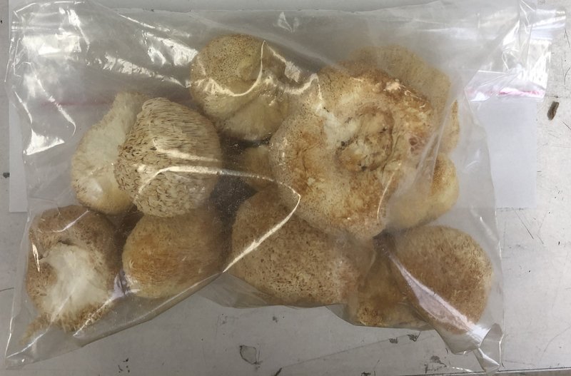 中國猴頭菇半年農藥超標13次 食藥署將限45天說明