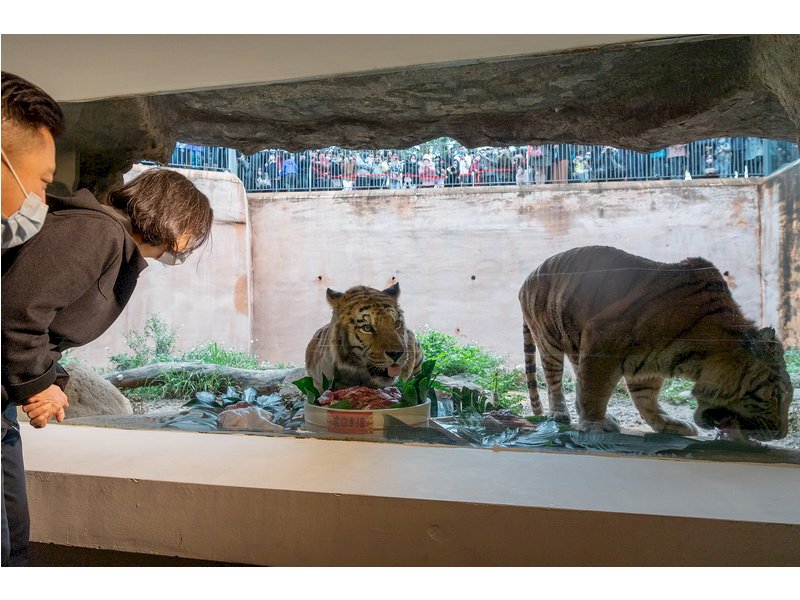 總統慰勉新竹市立動物園飼育員 肯定推廣生態教育