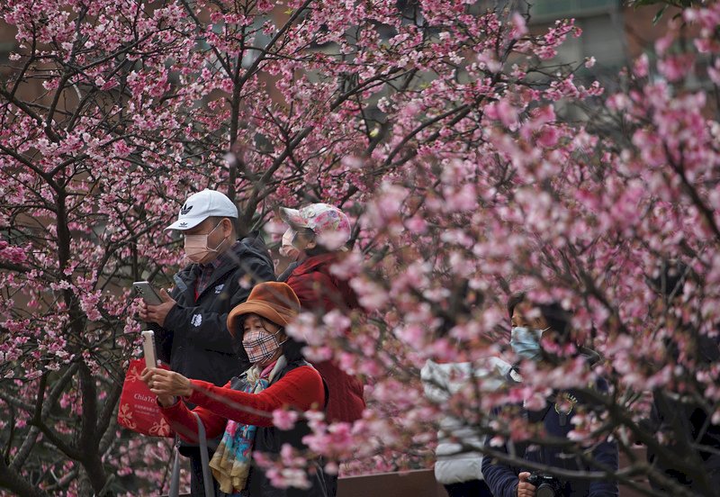 白天回暖舒適高溫逾20度 下半天各地轉陣雨