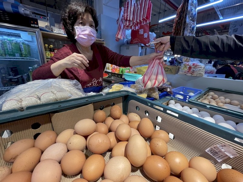農委會解蛋荒 進口蛋部分抵台、蛋種雞已到5萬隻
