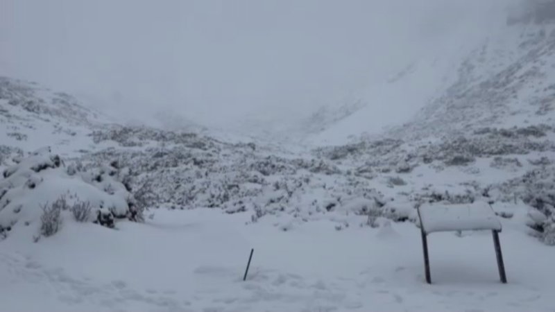 雪山持續降雪  圈谷積雪超過80公分