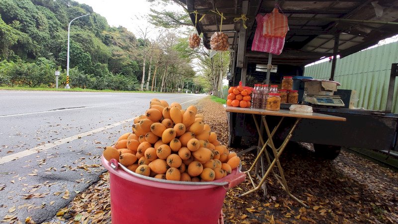 台灣鳳梨不但好吃 也有令人關注的藥性  枇杷酸甜適中且柔軟多汁 想吃一口嗎?