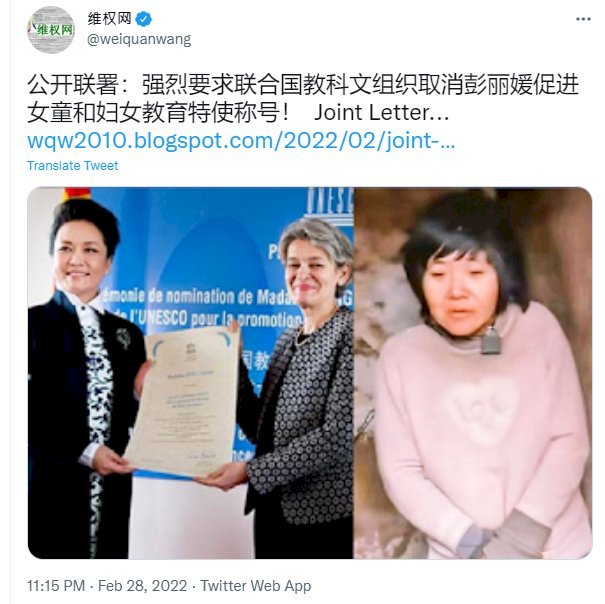 「徐州八孩母親」案  有連署要求取消彭麗媛婦女特使頭銜