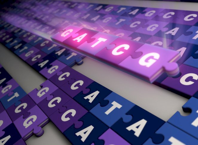 科學家發表第一個完整的人類基因組