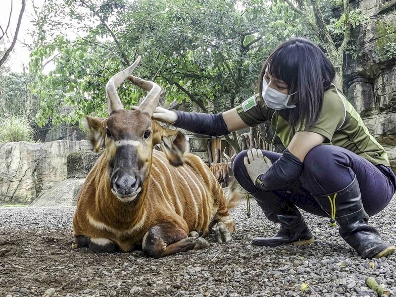 動物園保育員調升危險加給 擬2024年元旦上路